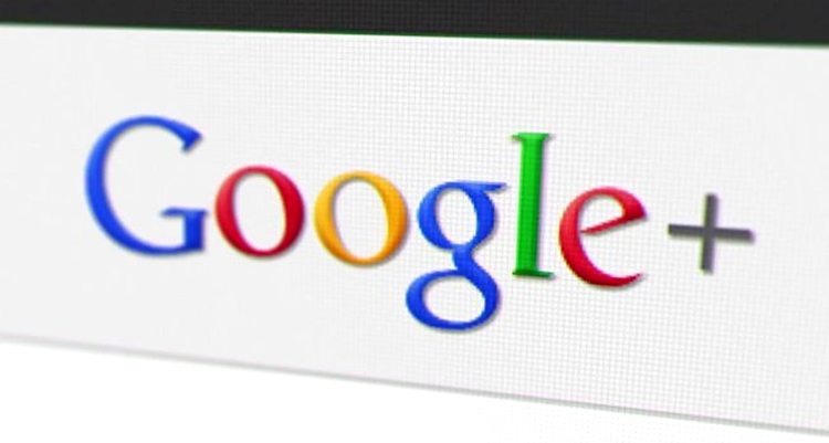 Google Plus Search