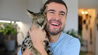 De ce iubitorii de pisici pot avea mai puțin succes în dragoste: Cum influențează felinele șansele bărbaților la întâlniri