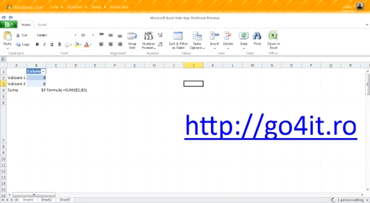 Microsoft Excel online