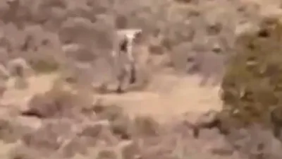 „Extraterestru” surprins într-o zonă aridă din Portugalia [VIDEO]
