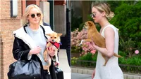 Jennifer Lawrence și-a pus fanii în cap, după ce a declarat că a renunțat la câinele său pentru că i-a mușcat fiul: „Nu ar trebui să mai dețină niciodată animale” (VIDEO)