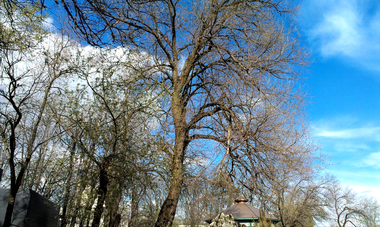 HTC One V - sample picture