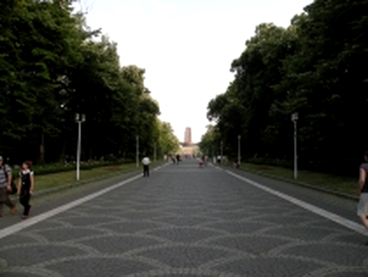 Test zoom - wide