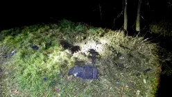 O dronă Geran s-a prăbușit și a explodat în Republica Moldova