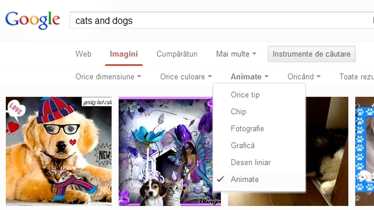 Google dă liber la căutări după GIF-uri animate