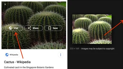 Google cade la înţelegere cu Getty Images. Elimină funcţii din Google Image