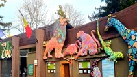 Se scumpesc biletele la Grădina Zoologică din București. Noile tarife pentru adulți, copii și pensionari / Cine beneficiază de gratuitate