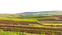 Obligatoriu pentru proprietarii de terenuri. Legea se aplică în toată România. Amendă între 750 și 5.000 de lei