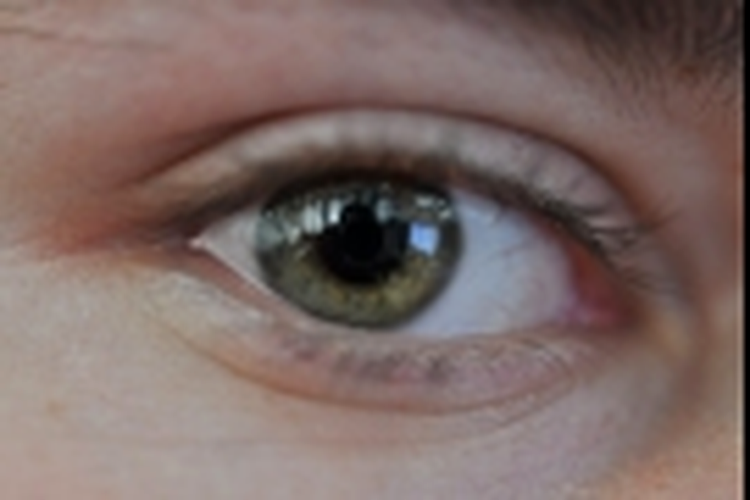 Macro, ISO 800, 1/20 s