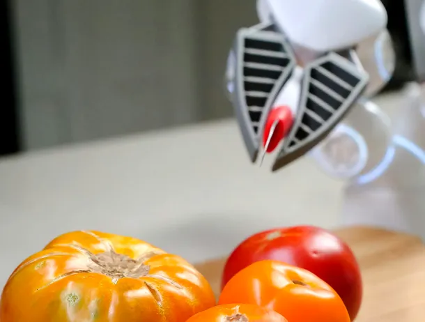 Comisia Europeană va folosi inteligența artificială pentru a detecta alimente contaminate