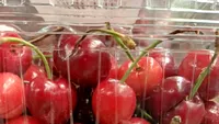 De necrezut! Cât a ajuns să coste 1 kg de cireșe în magazinele Mega Image din București