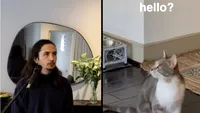 Pisica superstar cu milioane de vizualizări: povestea muzicianului care transformă sunetele animalelor în hituri, pornind de la un simplu mieunat (VIDEO)