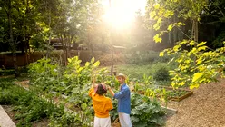 Kaufland surprinde cu oferta Parkside: un produs este indisponibil deja, dar apare kitul solar smart-eco pentru grădină
