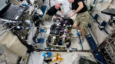 Astronauţii de pe Staţia Spaţială Internaţională au găsit ceva surprinzător la bord
