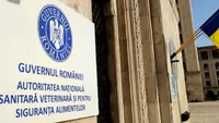 Guvernul a aprobat proiectul de implementare a sistemului informatic în domeniul sanitar-veterinar şi pentru siguranţa alimentelor – SIDISVA