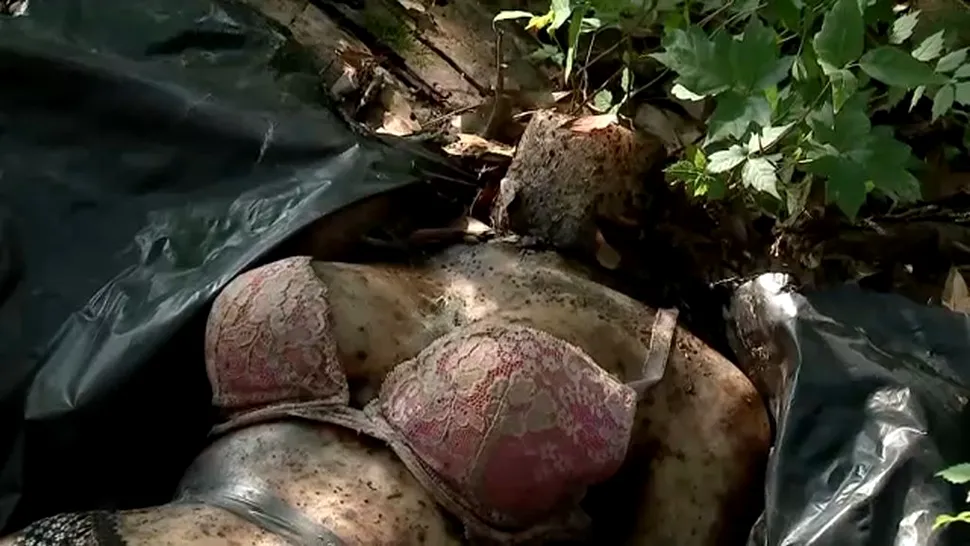 Incident hazliu: Ce era, de fapt, „cadavrul de femeie” găsit într-o pădure de lângă un oraș (FOTO)
