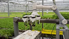Robotul care revoluționează agricultura: Inovația premiată care culege și ambalează fructe și legume în timp record