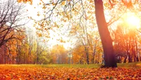 Când se răceşte vremea și vin ploile? Meteorologii, anunț de ultimă oră