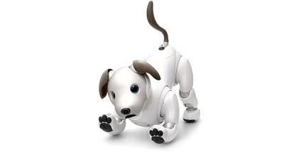 Sony aduce pe piaţă câinele robot Aibo la un preţ fascinant
