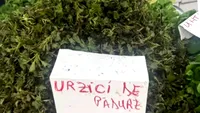Cât costă un kilogram de urzici în piețele din București! A devenit un lux pentru mulți: „Mai scump decât carnea de porc”