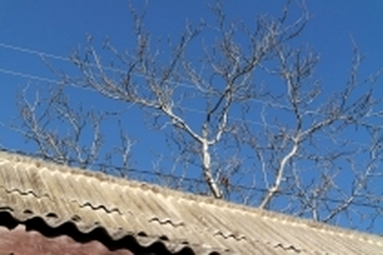 ISO 200, F9.0, 1/320 s