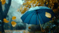 Prognoza meteo, 2 octombrie: Temperaturi de până la -4 grade. Zonele vizate de frig, ploi si vânt