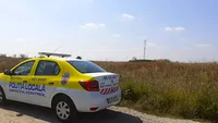 Obligație pentru proprietarii de terenuri. Se curăță proprietatea de această plantă. Primăria face verificări și se aplică amenzi