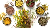 Cele mai puternice plante medicinale pentru sănătate: ce să folosești pentru detoxifiere, rinichi, memorie sau inflamații