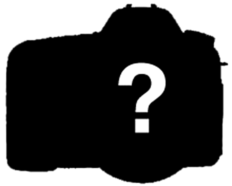 Canon DSLR