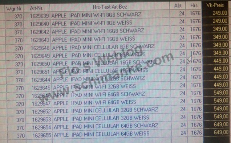 iPad mini, produs în 8 versiuni diferite?
