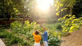 Kaufland surprinde cu oferta Parkside: un produs este indisponibil deja, dar apare kitul solar smart-eco pentru grădină