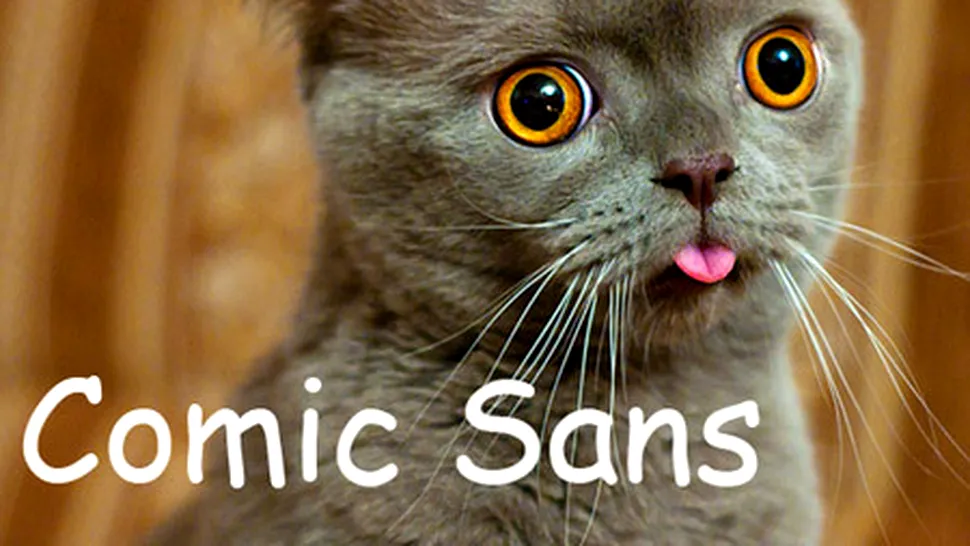 Dacă pisicile ar fi font-uri, care ţi-ar plăcea 