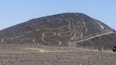 „Pisică” uriașă, descoperită printre liniile Nazca din Peru