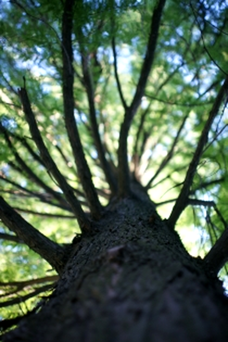 AP, ISO 400, f/1.4, 1/250