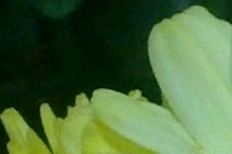 ISO 400