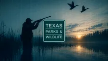 O breșă masivă de securitate la o agenție a guvernului statului Texas expune datele a 3 milioane de persoane