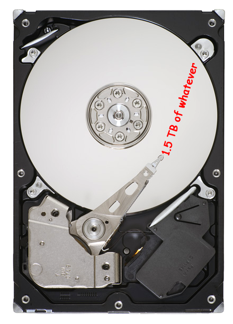 Seagate Barracuda 7200.11 1.5 TB