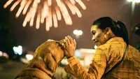 Noaptea de Revelion fără frică: Cum îți protejezi câinele și pisica de artificii