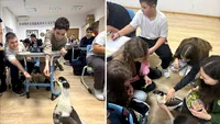 Lecție specială la „Ora cu și pentru animale”: O rață salvată de la moarte a devenit profesorul elevilor: „Povestea ei i-a înduioșat, au înțeles că niciodată, în niciun context, cruzimea nu are scuză”