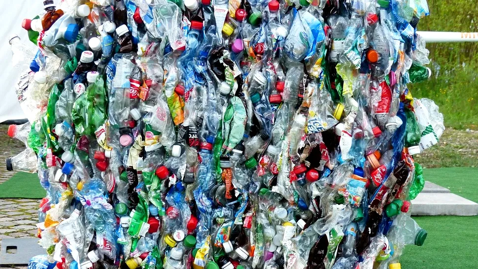 Particule de plastic au fost descoperite pentru prima dată în organe umane