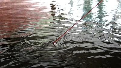 Doi copii care pescuiau cu un magnet au făcut o descoperire periculoasă într-un lac