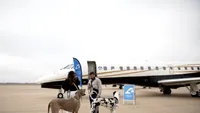RetrievAir, compania aeriană creată special pentru câini și stăpânii lor, schimbă regulile călătoriilor cu animale: Vacanță cu câinele, fără cală, fără stres (VIDEO)