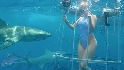 O actriţă a fost muşcată de un rechin în timp ce testa sub apă o nouă tehnologie pentru streaming video live