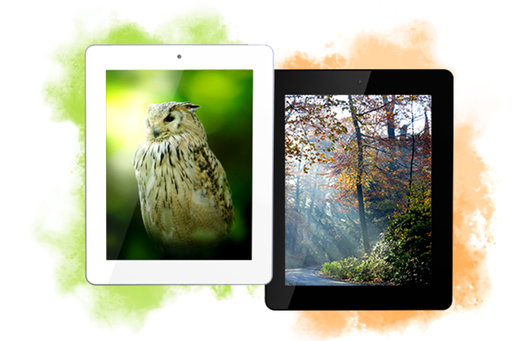 MultiPad 2 Ultra Duo 8.0