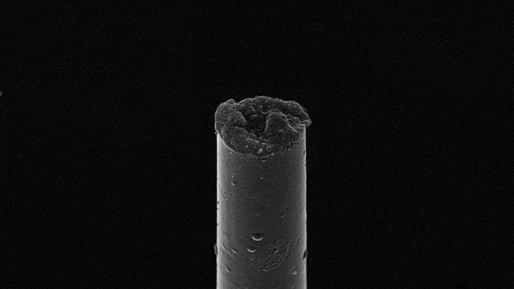 Interfaţa creier-PC, posibilă cu un nou tip de micro-fibre din carbon