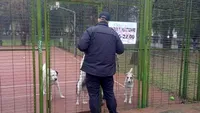Amenzi dure pentru stăpânii de câini și patrule în civil: „Toți cei prinși că nu respectă curățenia pe domeniul public sunt sancționați” / Avertismentul lansat de primarul Sectorului 3 al Capitalei
