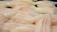 6 pești TOXICI, de evitat ☢️ Au foarte mult MERCUR