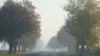 Prognoza meteo 25 octombrie. Temperaturile pornesc de la -2 grade și ajung la 20: zonele vizate de ceață și precipitații