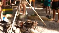 În câte moduri poți găti orez, banane și cocos? Ce opțiuni sănătoase au concurenții de la Survivor 2026