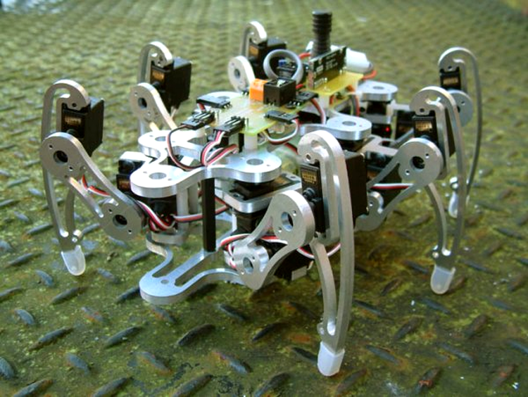Robot hexapod